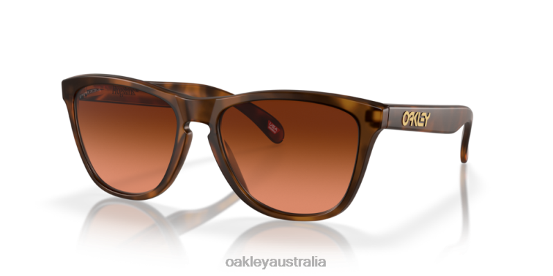 Frogskins (Low Bridge Fit) Prizm Brown Gradient Lenses, Matte Brown Tortoise Frame Oakley2ZJX820