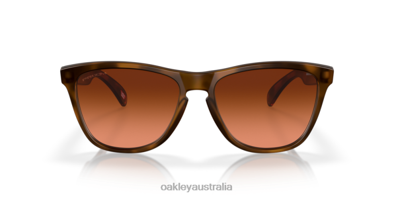 Frogskins (Low Bridge Fit) Prizm Brown Gradient Lenses, Matte Brown Tortoise Frame Oakley2ZJX820