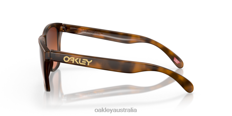 Frogskins (Low Bridge Fit) Prizm Brown Gradient Lenses, Matte Brown Tortoise Frame Oakley2ZJX820