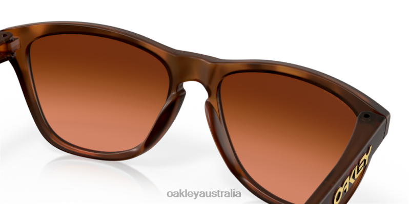 Frogskins (Low Bridge Fit) Prizm Brown Gradient Lenses, Matte Brown Tortoise Frame Oakley2ZJX820